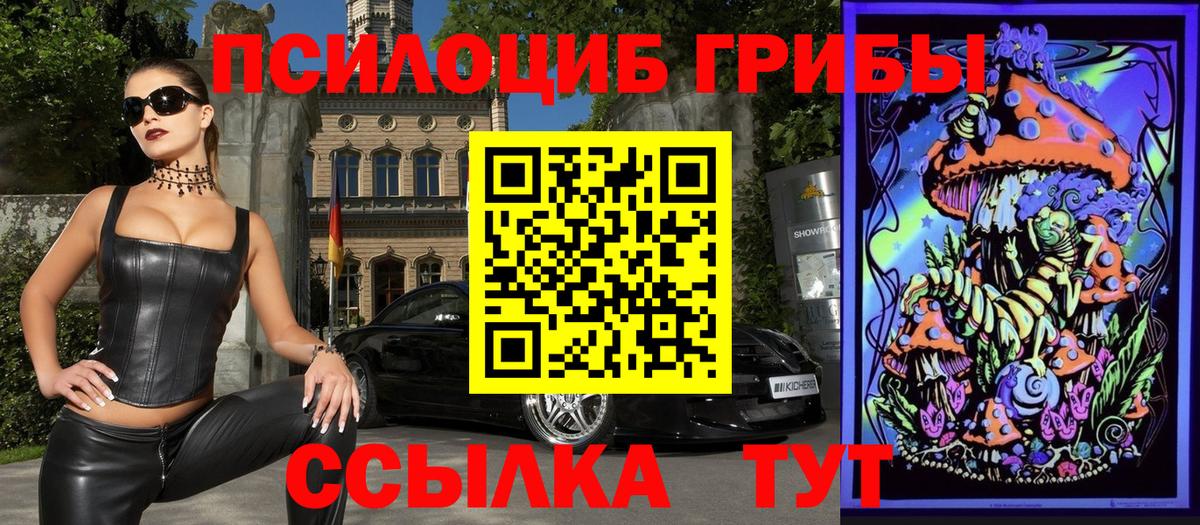 Галлюциногенные грибы GOLDEN TEACHER  Псилоцибиновые грибы мухоморы  Вход с VPN  Петрозаводск 