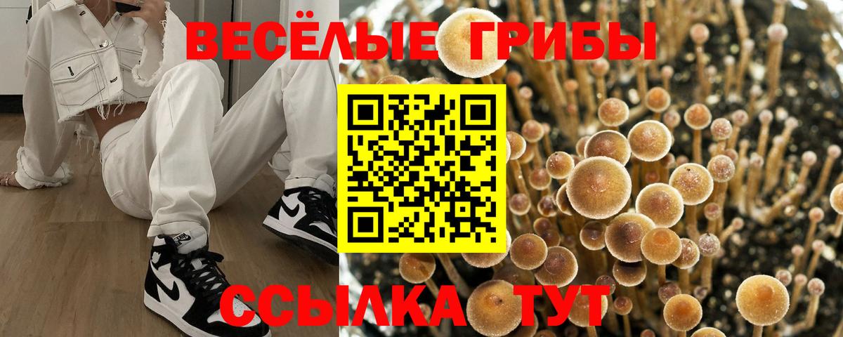 Галлюциногенные грибы ЛСД Петрозаводск